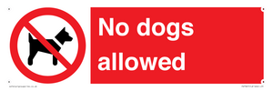No dogs allowed